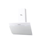 Каминная вытяжка Oasis ND-60W (V)