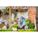 Румбокс Hobby day Country Village 13839