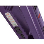 Стайлер Centek CT-2021