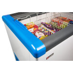 Морозильная камера Frostor Gellar FG 600 C синий