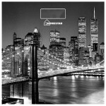 Весы напольные Homestar HS-6001E