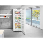 Морозильная камера Liebherr GN 4635