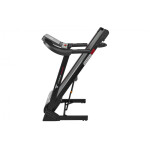 Беговая дорожка Titanium Masters Physiotech TBM