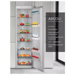 Встраиваемый холодильник Ascoli ASL330WBI