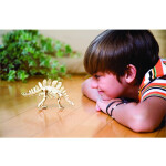 Набор 4M Раскопай скелет Стегозавр 00-03229