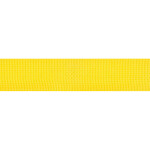 Ремень для гитары Planet Waves PWS110