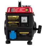 Генератор бензиновый DDE DPG1201i