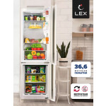 Встраиваемый холодильник Lex RBI 201 NF