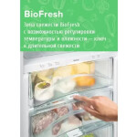 Холодильник Liebherr KBef 3730