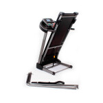 Беговая дорожка DFC Walker EVO T-S1