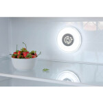 Холодильник Бирюса CD466GG