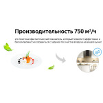 Каминная вытяжка Weissgauff Irida BL