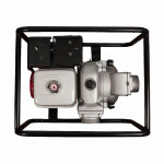 Мотопомпа DDE PTR100H