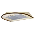 Каминная вытяжка Korting KHC 6930 RI