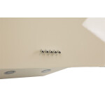 Каминная вытяжка Oasis NP-60I (FR)