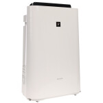 Очиститель воздуха Sharp KC-D41RW