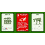 Настольная игра Правильные игры Эволюция. Случайные мутации 13-01-05