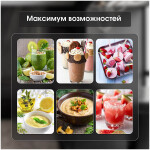 Блендер стационарный Zigmund & Shtain BS-442 D