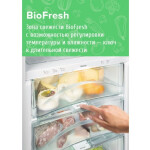 Холодильник Liebherr KBef 3730