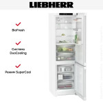 Холодильник Liebherr CBNd 5723