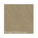 Дозатор Zigmund & Shtain ZS A002 молодое шампанское