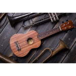 Укулеле сопрано Flight NUS 310