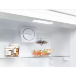 Холодильник Liebherr CNPef 4813