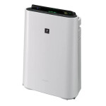 Очиститель воздуха Sharp KC-D41RW