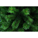 Ель Ели PENERI Маргарита 1.55