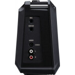 Комбоусилитель Roland Mobile-AC