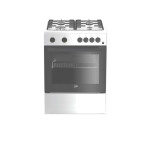 Комбинированная плита Beko FFSS 62010 GW