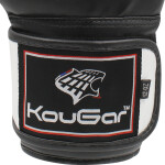 Перчатки боксерские KouGar KO400-6 черный