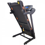 Беговая дорожка Royal Fitness RF-6