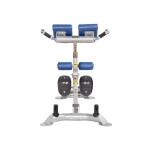 Гиперэкстензия Hoist CF-3663 серебристый/темно-синий (CM-PL-BJ)