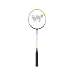 Набор для бадминтона Wish Steeltec 216 зеленый