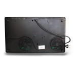 Настольная плита Ginzzu HCI-205