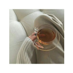 Чайник электрический Caso WK 2100