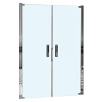 Душевая дверь WeltWasser WW600 600K2-120