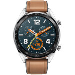 Умные часы Huawei WATCH GT FTN-B19 Steel Grey