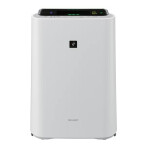 Очиститель воздуха Sharp KC-D51RW