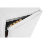 Холодильник Scandilux R 091 W White