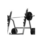 Рама для приседов Matrix Magnum A81 Iced Silver