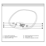 Весы кухонные Sencor SKS 35VT