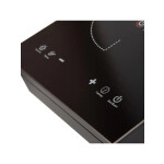 Настольная плита Endever Skyline IP-51