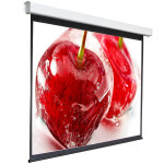 Экран для проектора Digis Electra-F DSEF-1105