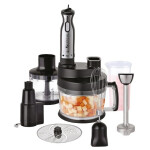 Блендер погружной Centek CT-1310