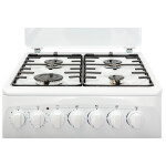 Комбинированная плита Renova SG5E-LCTW