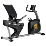 Велотренажер Hasttings Wega RS400