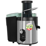 Соковыжималка StarWind SJ 2424