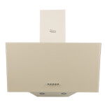 Каминная вытяжка Oasis NP-60I (FR)